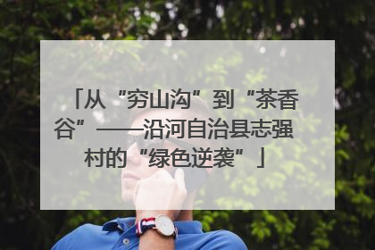 从“穷山沟”到“茶香谷”——沿河自治县志强村的“绿色逆袭”