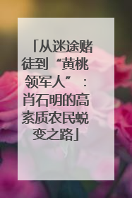 从迷途赌徒到“黄桃领军人”：肖石明的高素质农民蜕变之路