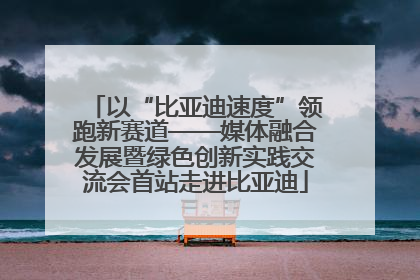 以“比亚迪速度”领跑新赛道——媒体融合发展暨绿色创新实践交流会首站走进比亚迪