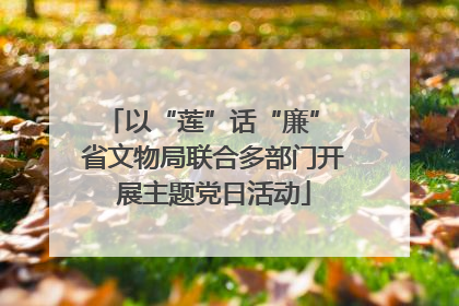 以“莲”话“廉” 省文物局联合多部门开展主题党日活动