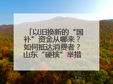以旧换新的“国补”资金从哪来？如何抵达消费者？山东“硬核”举措有这些→