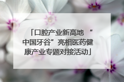 口腔产业新高地 “中国牙谷”亮相医药健康产业专题对接活动