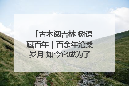 古木阅吉林 树语藏百年｜百余年沧桑岁月 如今它成为了“镇园之宝”