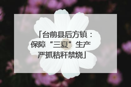 台前县后方镇：保障“三夏”生产 严抓秸秆禁烧