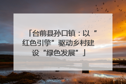 台前县孙口镇：以“红色引擎”驱动乡村建设“绿色发展”
