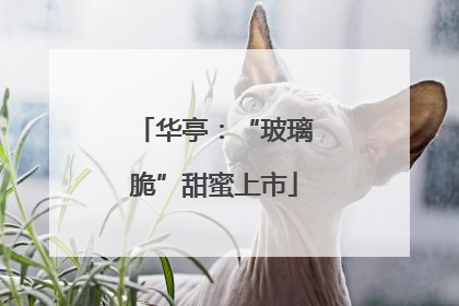 华亭：“玻璃脆”甜蜜上市