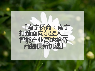 南宁侨商：南宁打造面向东盟人工智能产业高地给侨商提供新机遇