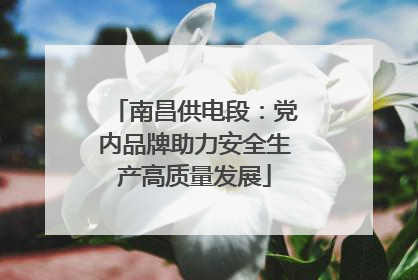 南昌供电段：党内品牌助力安全生产高质量发展