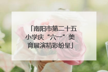 南阳市第二十五小学庆“六一”美育展演精彩纷呈