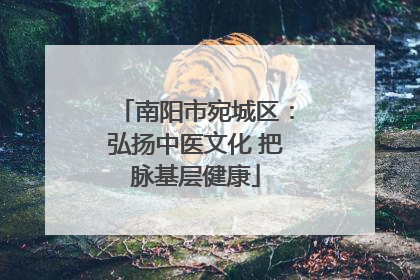 南阳市宛城区：弘扬中医文化 把脉基层健康