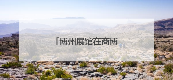 博州展馆在商博会上实力抢镜！