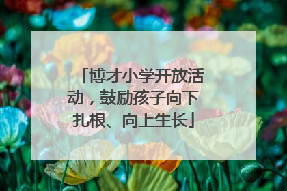 博才小学开放活动，鼓励孩子向下扎根、向上生长