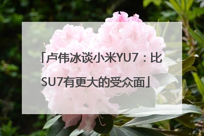 卢伟冰谈小米YU7：比SU7有更大的受众面
