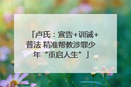 卢氏：宣告+训诫+普法 精准帮教涉罪少年“重启人生”