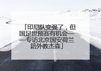 印尼队变强了，但国足世预赛有机会——专访北京国安荷兰籍外教杰森