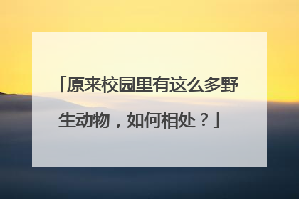 原来校园里有这么多野生动物，如何相处？