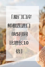 厦门口岸鲜榴莲进口 前5月同比增长10倍