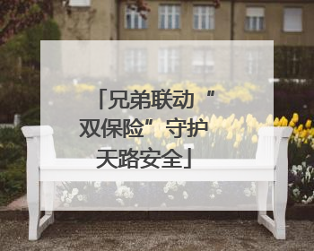 兄弟联动“双保险”守护天路安全