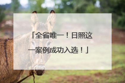 全省唯一！日照这一案例成功入选！