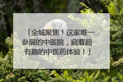 全城聚焦！这家唯一参展的中医院，藏着超有趣的中医药体验！