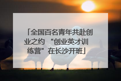 全国百名青年共赴创业之约 “创业英才训练营”在长沙开班