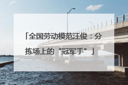 全国劳动模范汪俊：分拣场上的“冠军手”
