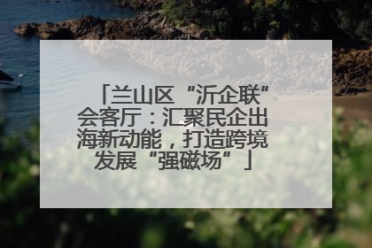 兰山区“沂企联”会客厅：汇聚民企出海新动能，打造跨境发展“强磁场”