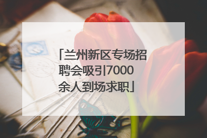 兰州新区专场招聘会吸引7000余人到场求职