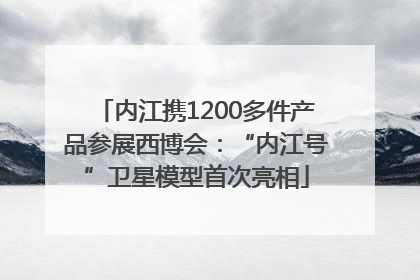 内江携1200多件产品参展西博会：“内江号”卫星模型首次亮相