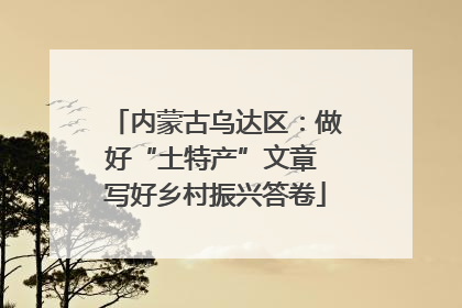 内蒙古乌达区：做好“土特产”文章 写好乡村振兴答卷