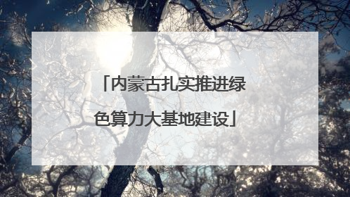 内蒙古扎实推进绿色算力大基地建设