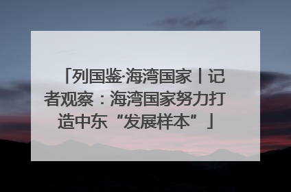 列国鉴·海湾国家丨记者观察：海湾国家努力打造中东“发展样本”