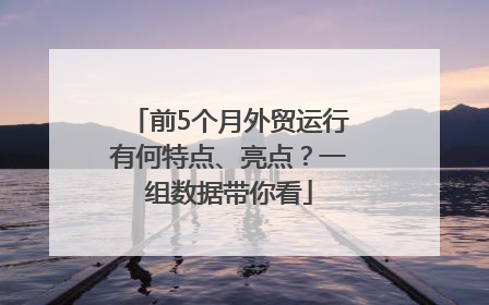 前5个月外贸运行有何特点、亮点？一组数据带你看