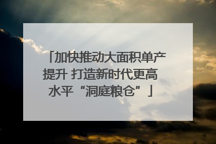 加快推动大面积单产提升 打造新时代更高水平“洞庭粮仓”