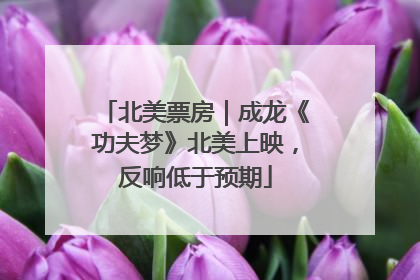 北美票房｜成龙《功夫梦》北美上映，反响低于预期
