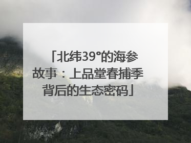 北纬39°的海参故事：上品堂春捕季背后的生态密码