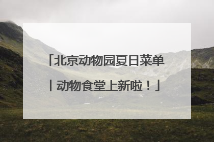 北京动物园夏日菜单丨动物食堂上新啦！