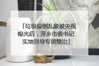 垃圾偷倒乱象被央视曝光后，萍乡市委书记实地督导专项整治