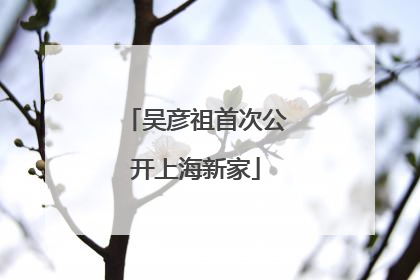 吴彦祖首次公开上海新家