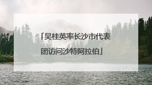 吴桂英率长沙市代表团访问沙特阿拉伯