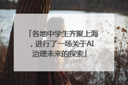 各地中学生齐聚上海，进行了一场关于AI治理未来的探索