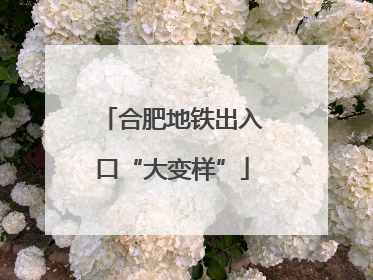 合肥地铁出入口“大变样”