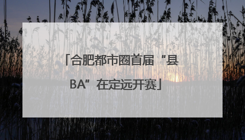 合肥都市圈首届“县BA”在定远开赛