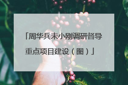 周华兵未小刚调研督导重点项目建设（图）