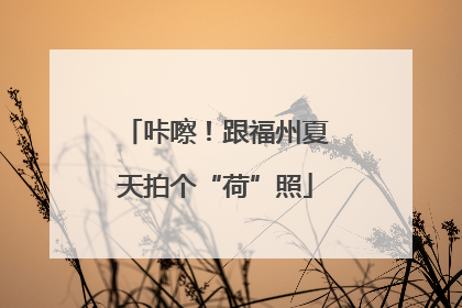 咔嚓！跟福州夏天拍个“荷”照