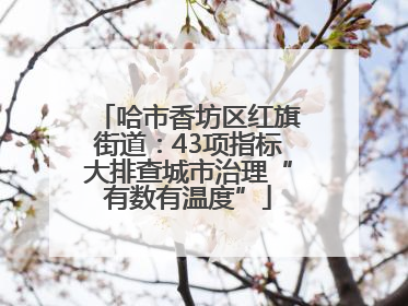 哈市香坊区红旗街道：43项指标大排查城市治理“有数有温度”