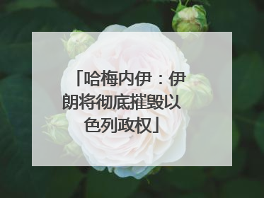 哈梅内伊：伊朗将彻底摧毁以色列政权