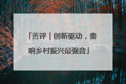 善评｜创新驱动，奏响乡村振兴最强音