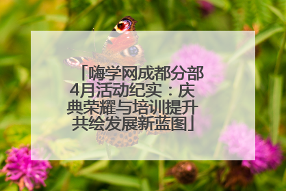 嗨学网成都分部4月活动纪实：庆典荣耀与培训提升共绘发展新蓝图