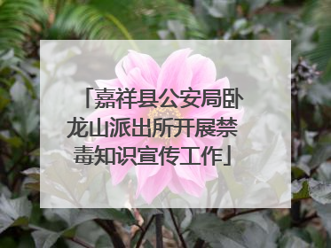 嘉祥县公安局卧龙山派出所开展禁毒知识宣传工作